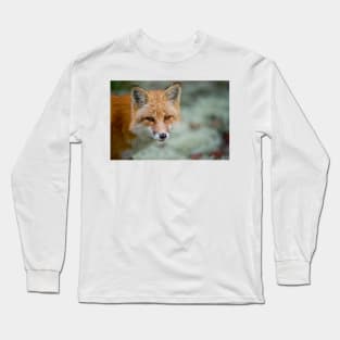 Red Fox Long Sleeve T-Shirt